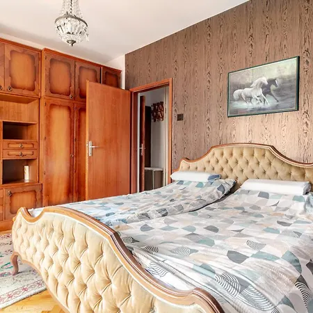 100 M2 In The Diplomatic Area Of Belgrade, Serbia * Belgrado