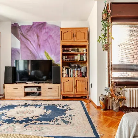 100 M2 In The Diplomatic Area Of Belgrade, Serbia *